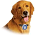 Pet Gadgets