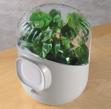 Picture of Botanical Room Air Purifier