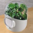 Botanical Room Air Purifier