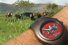 Picture of Universal Bull*hit Detector Watch
