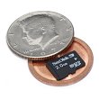 Hollow Spy Coins