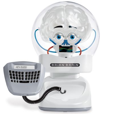 Picture of Brian the Brain