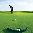Practice Golf Putt Returner