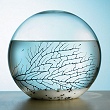 Sealed Ecosystem Globe