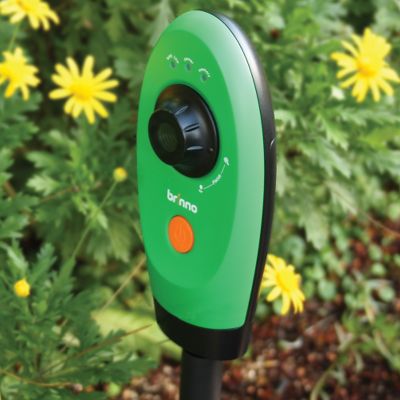 Picture of Timelapse Garden Video Camera