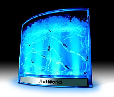Picture of Gel Ant Habitat