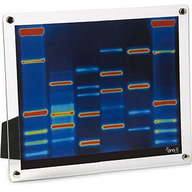 Picture of DNA Frame, Of You