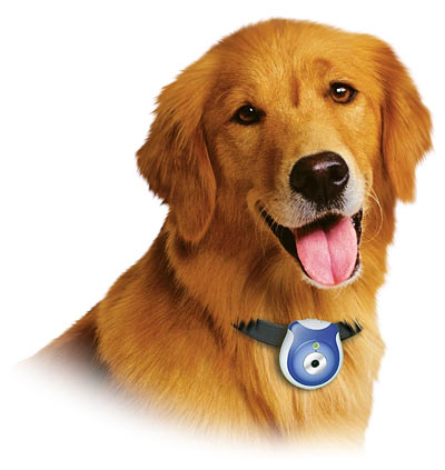 Picture of Pet's Eye View Digital Camera