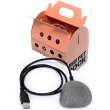 USB Pet Rock